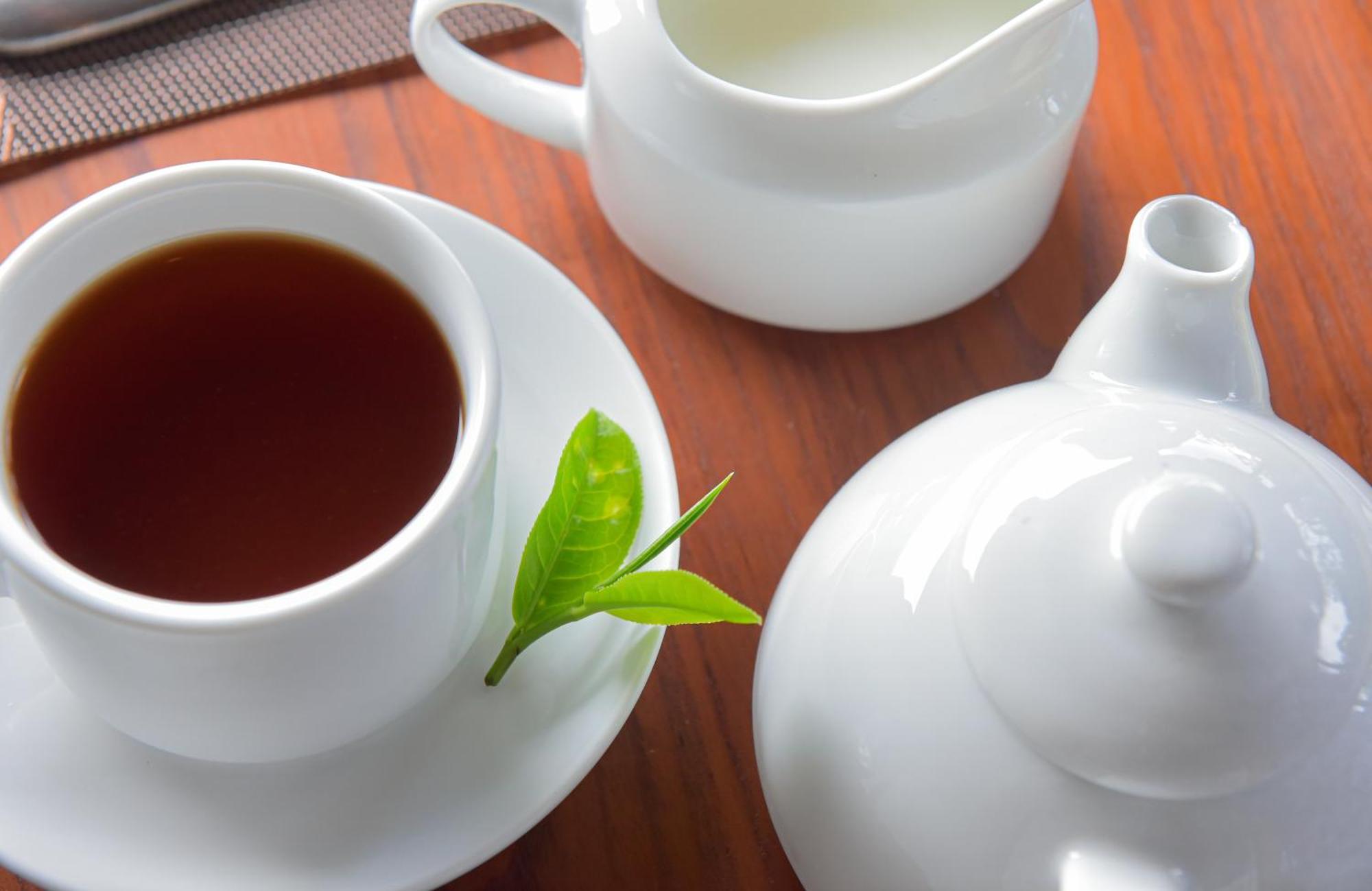 Hotel Tea Hills